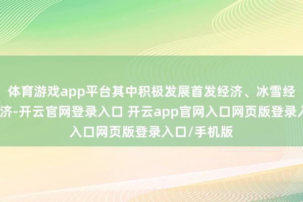 体育游戏app平台其中积极发展首发经济、冰雪经济、银发经济-开云官网登录入口 开云app官网入口网页版登录入口/手机版