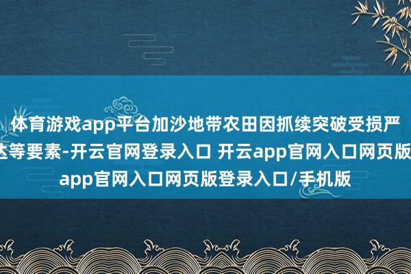 体育游戏app平台加沙地带农田因抓续突破受损严重、农民难以抵达等要素-开云官网登录入口 开云app官网入口网页版登录入口/手机版