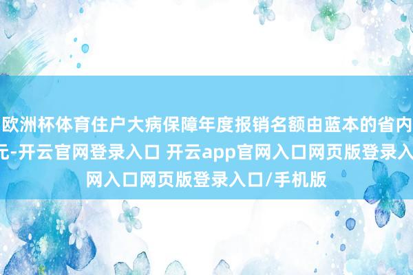 欧洲杯体育住户大病保障年度报销名额由蓝本的省内20—30万元-开云官网登录入口 开云app官网入口网页版登录入口/手机版